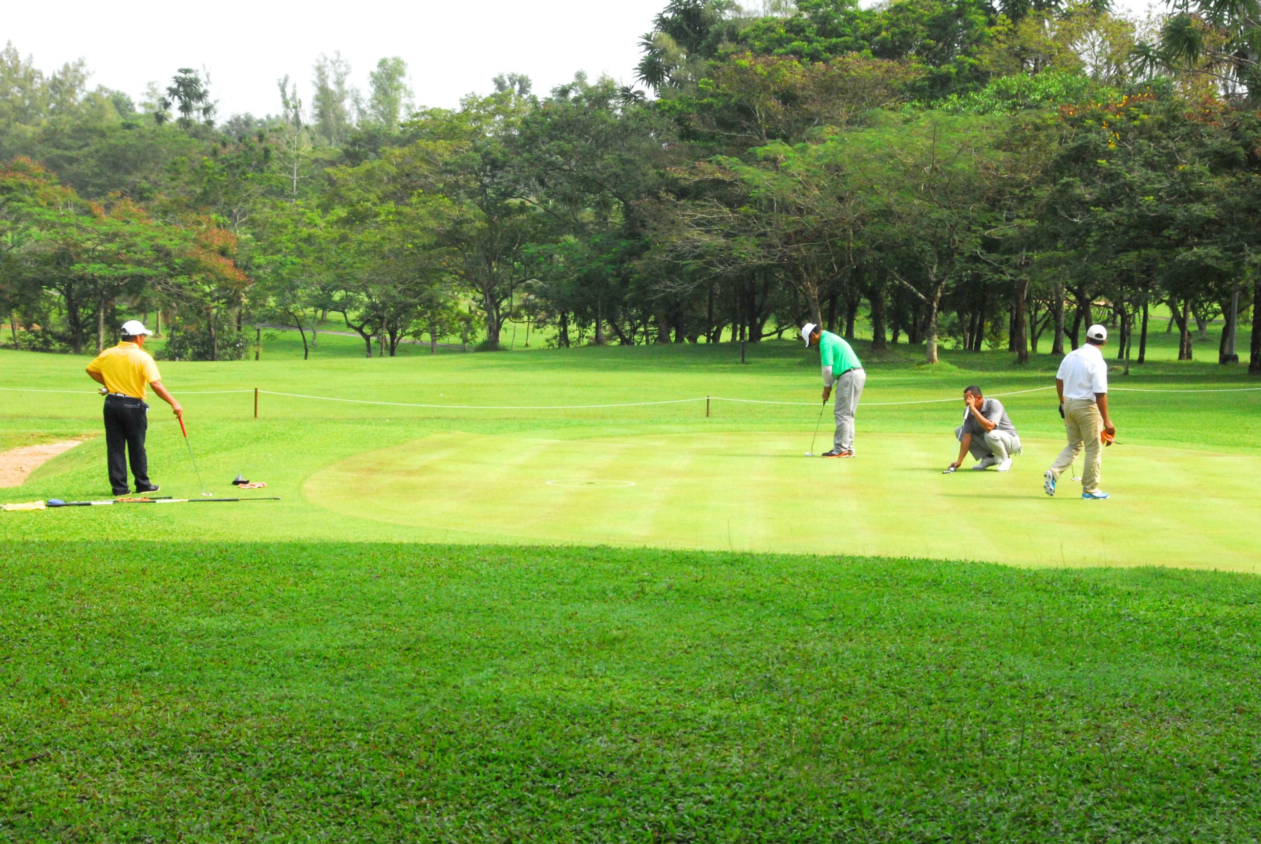 PRO15 157 GOLF DSC 0356.JPG